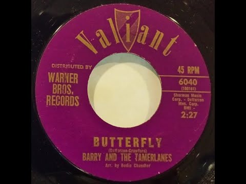 Barry & The Tamerlanes — Butterfly 1964