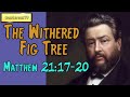 Matthew 21:17-20  -  The Withered Fig Tree || Charles Spurgeon’s Sermon - Wanderean Matthew 21:17-20  -  The Withered Fig Tree || Charles Spurgeon’s Sermon