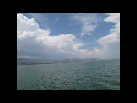 Turgay Erdener - Teo