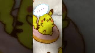 毎日ポケカ開封346日目