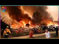 incredible nature moments caught on camera massive wildfires in los angeles