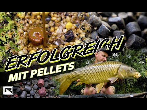 Karpfenangeln für Anfänger: Pellets - Alles was du wissen musst!