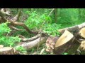 Daniel Boone Wilderness Road Trail Cumberland Gap National Park