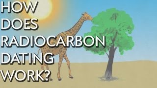 How Does Radiocarbon Dating Work? - Instant Egghead #28