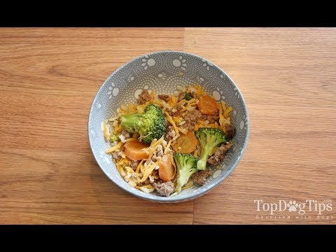 download lagu mp3 mp4 How To Make Dog Food For Small Dogs, download lagu How To Make Dog Food For Small Dogs gratis, unduh video klip How To Make Dog Food For Small Dogs