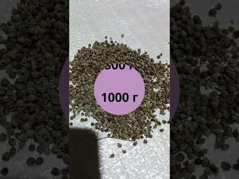 Вітекс священний (Авраамове дерево) плід (1 кг) - фото 2 - id-p2373135322