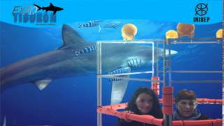 DIA 3 Expo Tiburon106