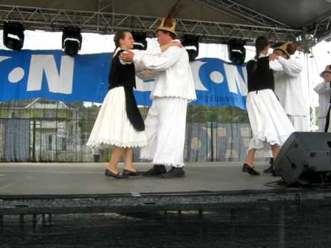 Mugurii Codrului - Baita de sub Codru (2)