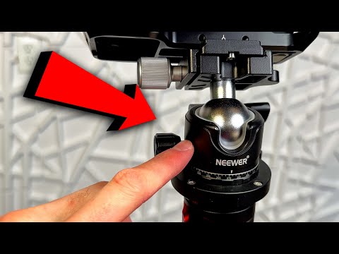 NEEWER Low Profile 36mm Ball Head | My Honest Thoughts