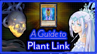 A Guide to Plant Link