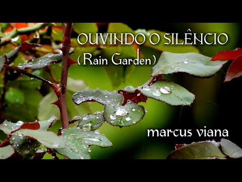 Marcus Viana - Ouvindo o Silêncio (Rain Garden)