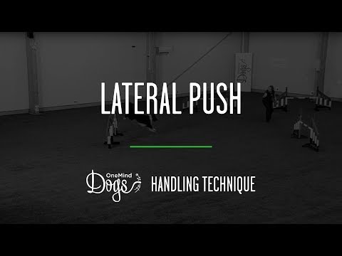 Lateral Push Agility Handling Technique