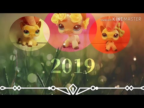 LPS -  Vuosi 2019 kooste