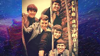 The Animals - Bury My Body (1964)