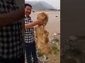 Sponge people discovered living under lake in China