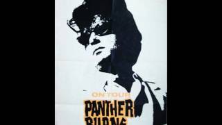 Tav Falco's Panther Burns - She's My Witch (live)