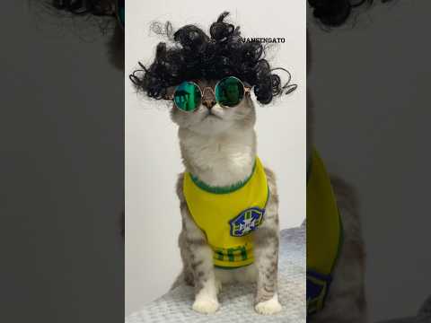 Bonde do Brunão 🇧🇷 #brunomars