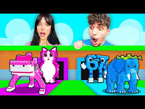 MASCHI vs FEMMINE su DUE RULLI CON LA FORTUNA INFINITA su STEAL A BRAINROT!