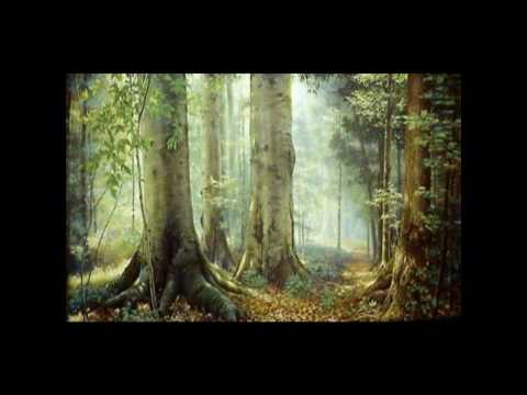 Ao amigo distante cristina mel