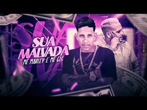 🔵 MC MARLEY E MC G15   SUA MALVADA   REMIX BREGA FUNK