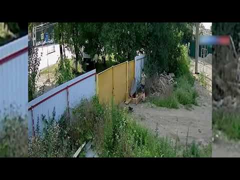 Чаплин отдыхает двое подростков совершили кражу года на Кубани   Россия 24