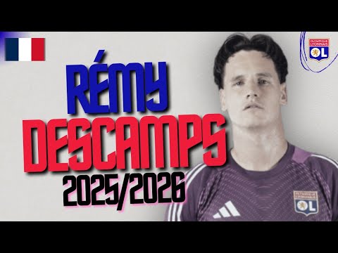 RÉMY DESCAMPS | The Lyon Wall