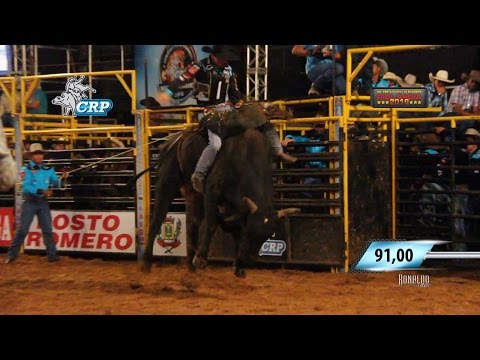 Rodeio de Riolândia 2016 - MELHORES MONTARIAS / QUINTA FEIRA