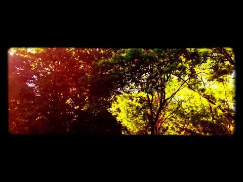 The Great Outdoors Official Trailer