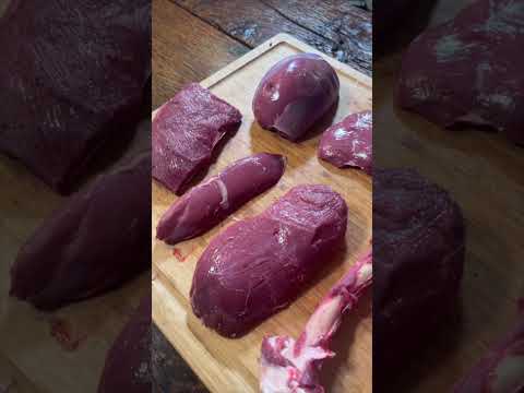 Butchering deer for beginners #shorts