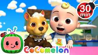 Bingo&#39;s Bath Song | CoComelon Nursery Rhymes &amp; Kids Songs