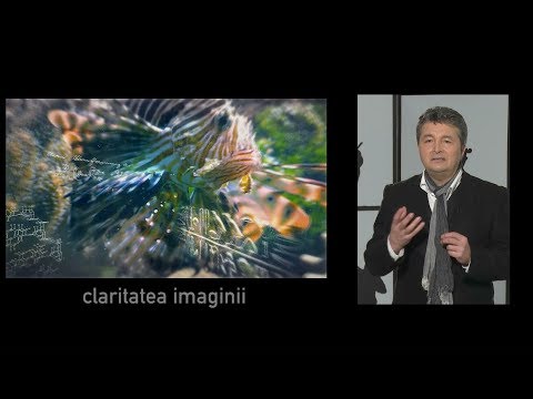 Mircea Neacşa, despre noutăţile cu care venim la Teleenciclopedia