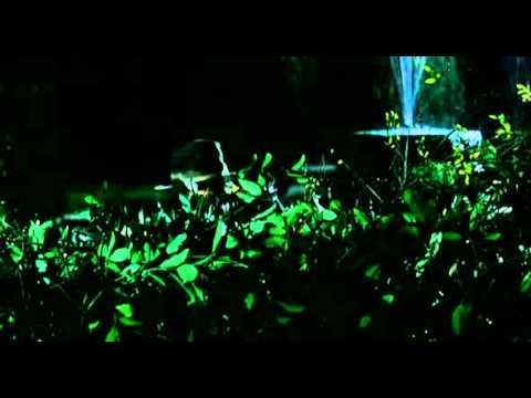 w la foca lory del santo il gelato franco bracardi