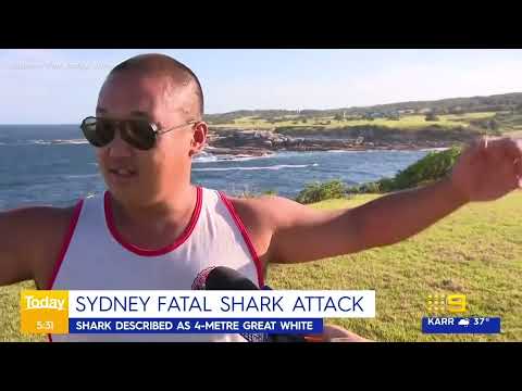 Fatal Shark Attack at Sydney Harbour in 2022 on Simon Nellist