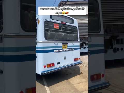 තැන දන්න අය කියමු බලන්න😃🇱🇰😁 #automobile #automotive #leylandbus #modifiedbus #viral #shortsfeed