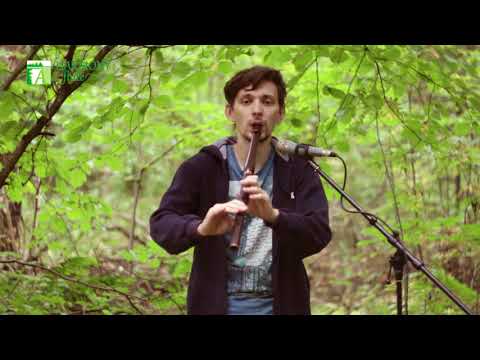 Low-Whistle D rosewood - Harmonyflute