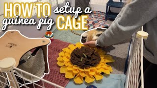 Setting up a Guinea Pig Cage || How to Setup a Guinea Pig Cage