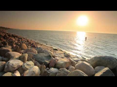 Beauty In Simplicity - The Unbound