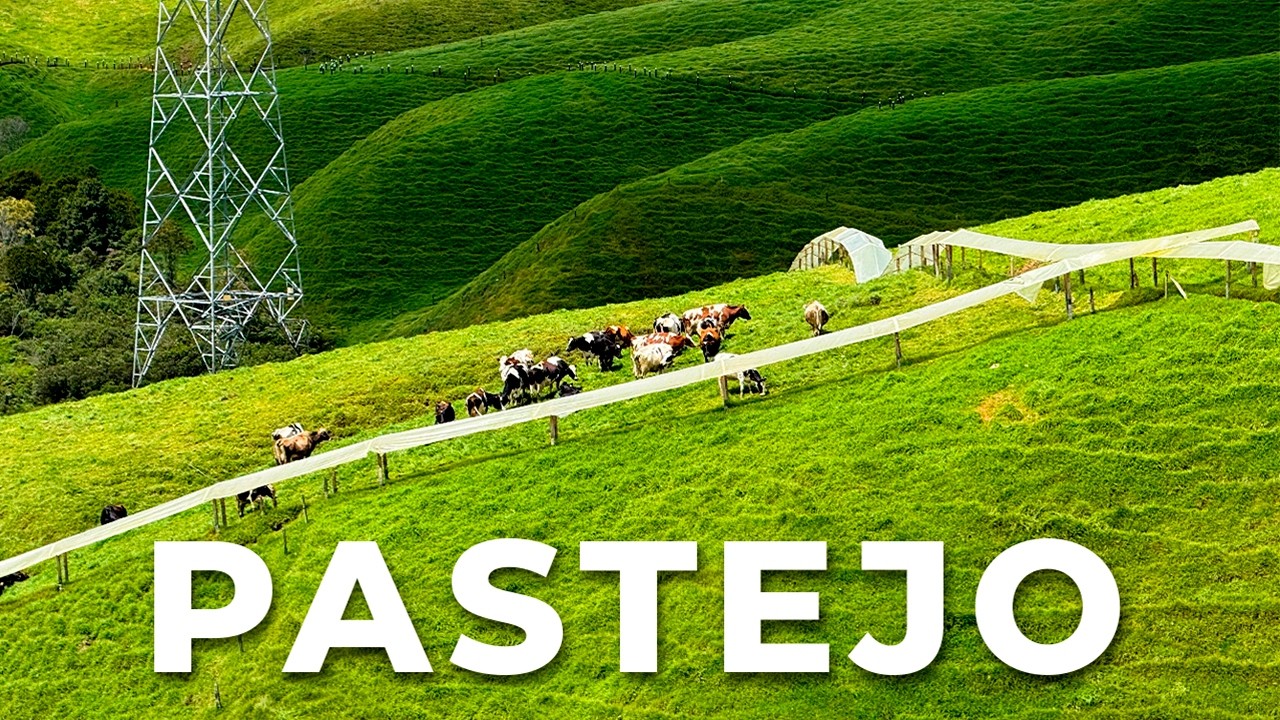 4 MIL LITROS DE LEITE POR DIA COM SISTEMAS DE PASTOREIO E ESTABULAÇÃO - BETANAGRO, COLÔMBIA 🇨🇴