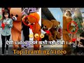 Tik Tok Teddy Bear Video TikTok Teddy Bear Funny Video Teddy Bear TikTok Viral Video NewTikTok Teddy