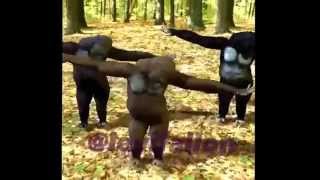 Kdot AK DjQ Get Milli Get Mad Official Video Instagram http://instagram.com/levifallon