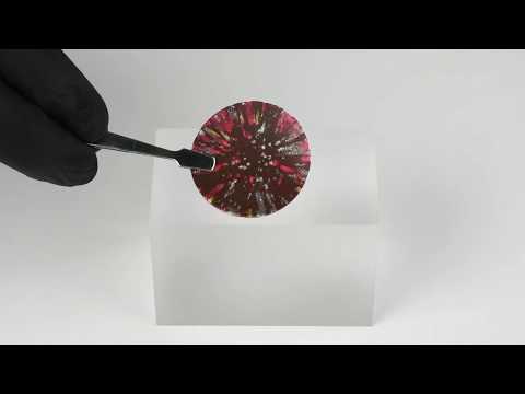 Dobla Celebration 3 colors