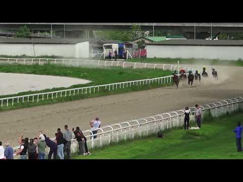 1.5.2022 V Trka - LJUBIČEVO - Hipodrom Beograd