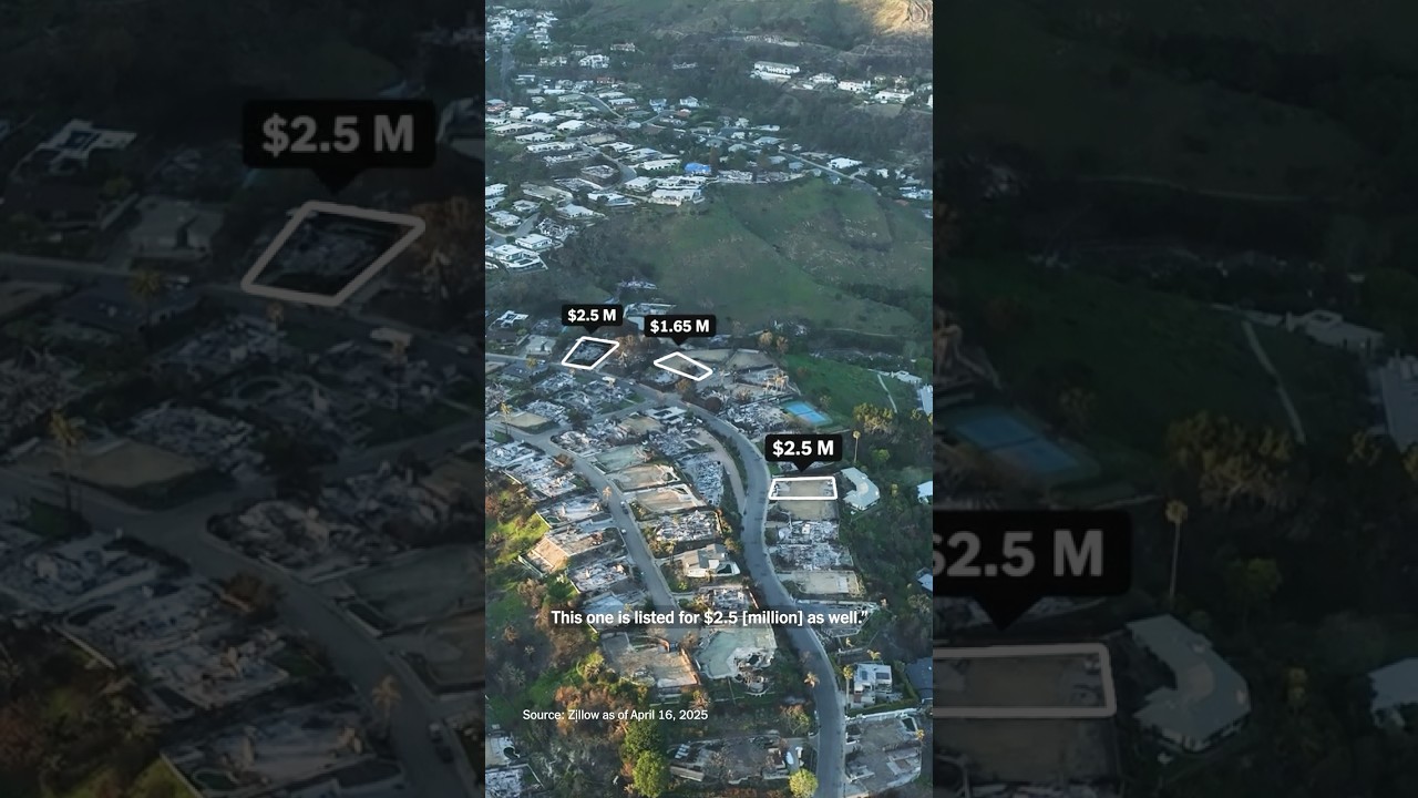 For Sale: Burnt Lots in Pacific Palisades