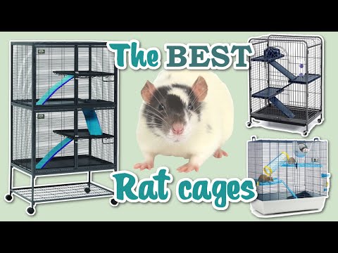 What cages are best for Rats?
