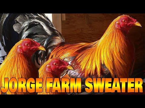 Nice Birds Larry Romero Dink Sweater JORGE FARM HAWAII