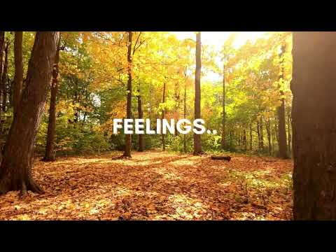 Feelings Perry Como With Lyrics