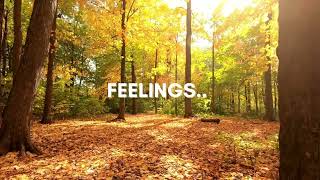 Feelings Perry como with lyrics