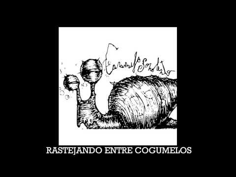 Video thumbnail for Rastejando entre Cogumelos