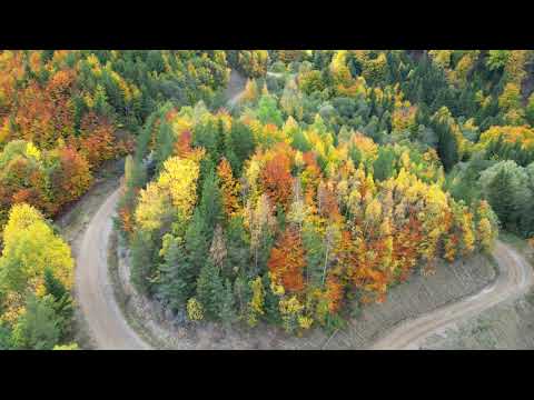 Toamnă în Munții Buzăului - Bisoca, județul Buzău! Filmare aeriană. #buzaulvazutdesus