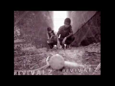 Driton feat. Revivalz - Ski Pse